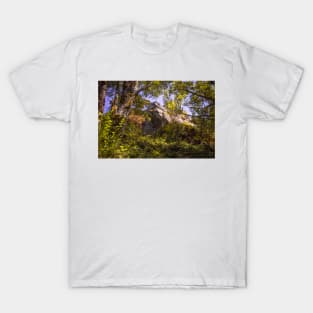 Looking up at Lookout Rock T-Shirt